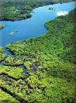 Amazonia - Parque Nacional de Jaú
